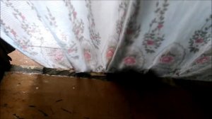 Котята и часы с боем
