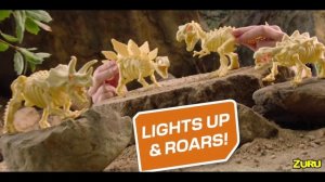 YouTube RBA_Fossil Find S1_Boys 4-8_6s_16;9_6s__light and sound