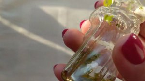 Елочные игрушки СССР раритет. Крокодилы