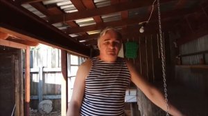 кролики и антибиотики