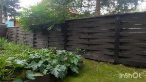 Полив на нашем дачном участке. Мечты и реальность