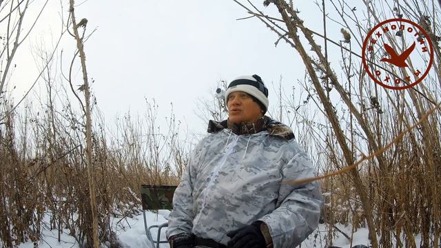 Охота на ворон и встреча с полицией