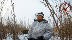 Охота на ворон и встреча с полицией