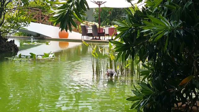 In Lanka Princess Hotel смотреть онлайн