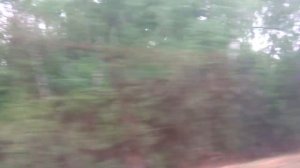 Кашира, автобус 27, участок Поворот на Бесово - Бесово