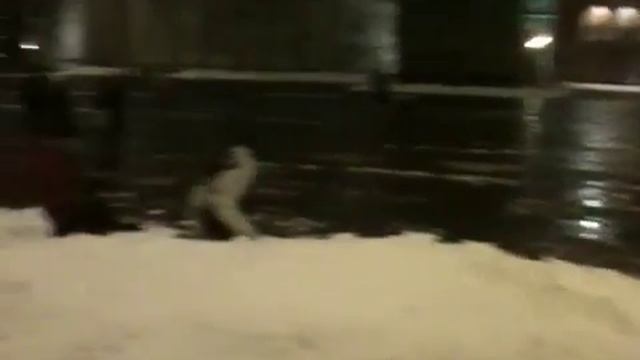 Dr.Felix 360 in Duomo a Pistoia смотреть онлайн