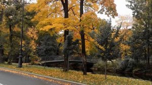 Осеннее настроение ...