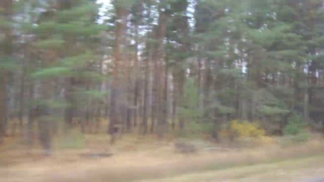 Шатура, автобус 32, участок Власово-1 - Мишеронский