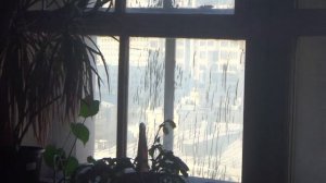 Пассажирские лифты V=1 м-с, Q=400 кг (3609)