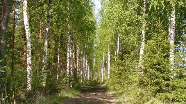 Kari Tapio - Tämä maa on minun смотреть онлайн