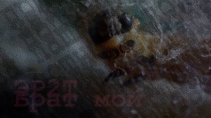 Брат мой