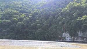 Абхазия, горная река Бзыбь. Abkhazia, a mountain river #абхазия #сухум #кавказ #abkhazia #sukhum