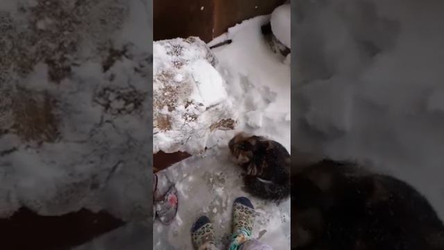 Первая встреча