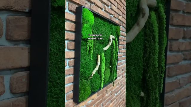 Картина из мха "Микс с корягами" 50 на 50 см | НА СТЕНЕ ТРАВА