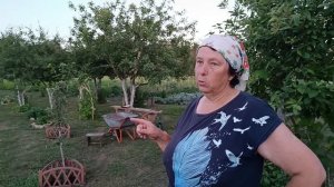 У нас переселение. Собираем урожай. Наши деревенские будни.