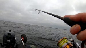 Тесты! Гидрокрыло на Suzuki df6as. Комплект для хевиджига Daiwa Fuego 6000d + Zetrix Azura и т.д.