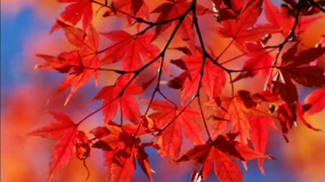 Oscar Benton Different dreams смотреть онлайн