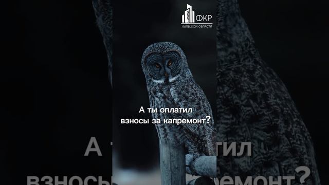 А ты оплатит взносы на капремонт?