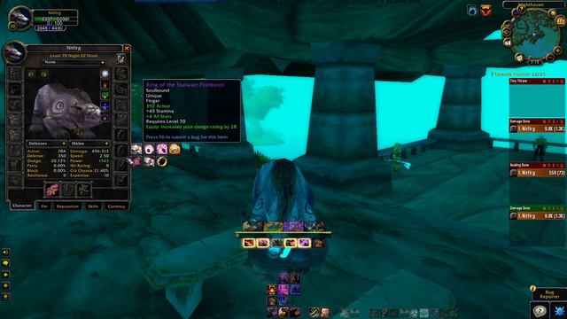 Bear Armor got NERFED (bug fixed) - Classic WoW смотреть онлайн