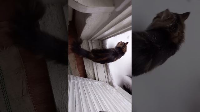 На балкон идёшь?