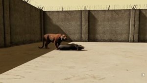 Far Cry 4 Animal Fight - Tapir vs All Animals Battles