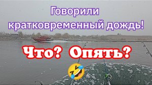 Говорили кратковременный дождь! Что? Опять?