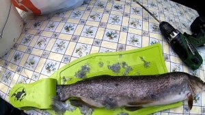 Чистка рыбы быстро, чисто и легко.