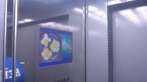 Пассажирский лифт V=1 м-с, Q=400 кг (3516), музыкальный лифт Ecomaks