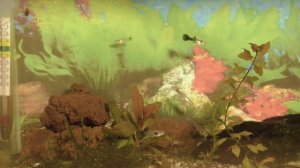 прошло 2 недели применения удобрений