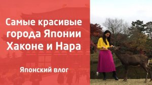 Что нужно посмотреть в Хаконе и Нара_ Обзор лучших мест! Японский влог и мои впечатления о поездке