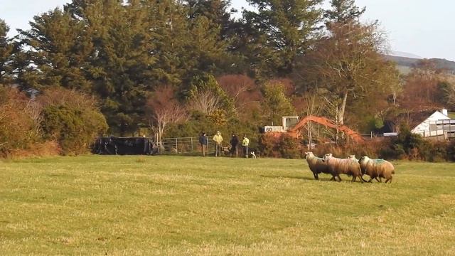 Eugene McLaughlin & Glen смотреть онлайн