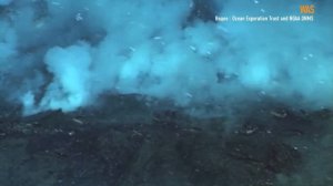 что скрывает Марианская впадина
