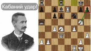Карл ШЛЕХТЕР разрывает ГАВАШИ! Шахматы