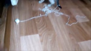 Котенок играет с  клубком ниток