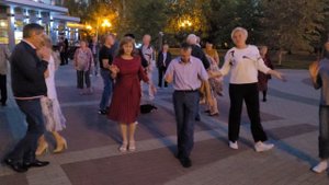 Ромашки белые... 20.09.24...