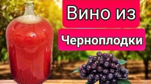 ДОМАШНЕЕ ВИНО ИЗ ЧЕРНОПЛОДНОЙ РЯБИНЫ. Простейший рецепт вкусного Напитка.