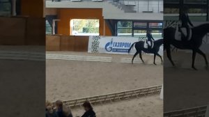 Выездка. ППД А , РАЯНА И ТЭЙК ТЗЕ ВИН .1 МЕСТО .2Й СПОРТИВНЫЙ. 22.09.2024