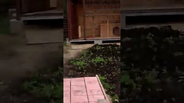 15 сентября 2020 г. смотреть онлайн