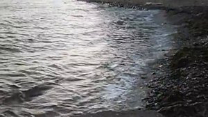 Черное море