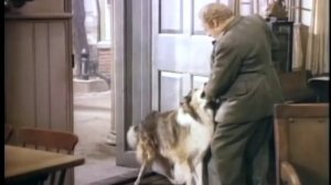 Hollywood Collection: Lassie