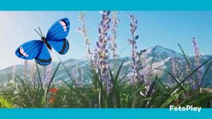 Исчезну я с лица земли . Иеромонах Роман ( Матюшин )