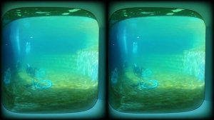 VID 20240703 100722 00 229