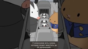 Факты о животных