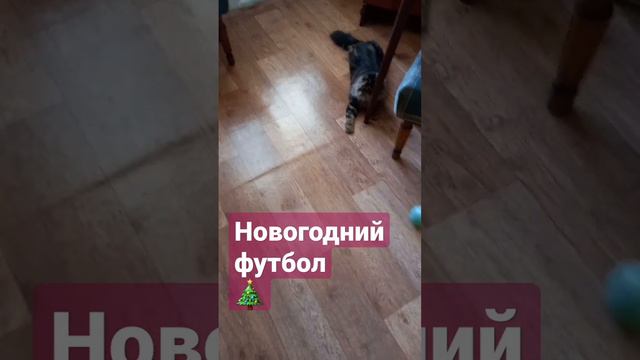 Тигран VS Ёлка (7:0)