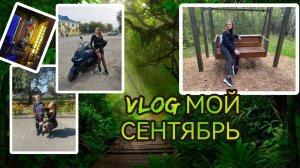 VLOG Мой сентябрь