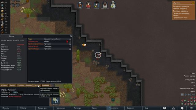 Обезумевшие кошаки в RimWorld Часть 15