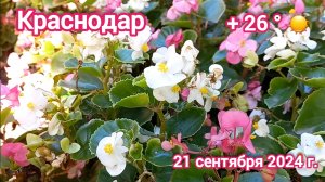 Краснодар - прогулка по центру города - 21 сентября 2024 г.