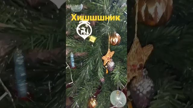 Новогодние потрясения Ёлочки