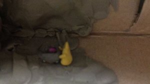 16 серия пластилиновый мир