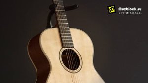 PARKWOOD S22 GT - обзор акустической гитары